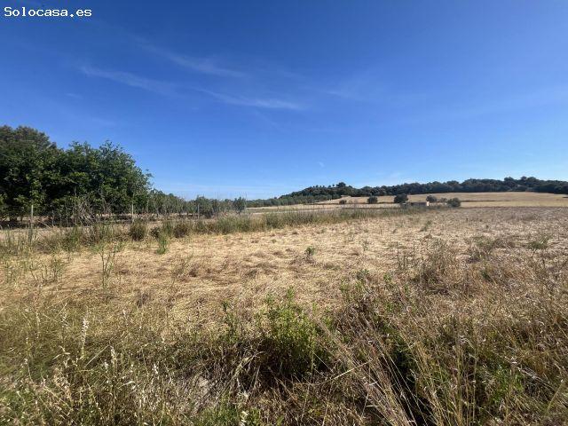 Local Comercial en venta en Pla de Mallorca, Baleares