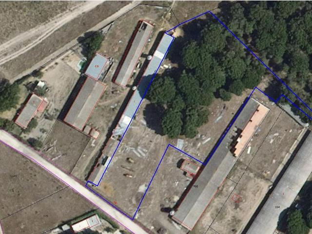 Terreno en venta en Sardón De Duero, Castilla y León