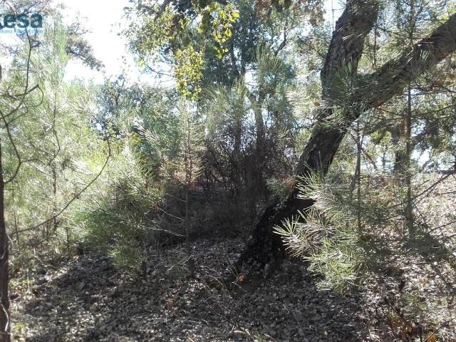 Terreno en venta en Sierra de Huelva, Andalucía