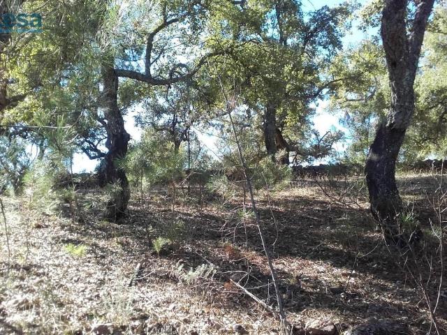 Terreno en venta en Sierra de Huelva, Andalucía