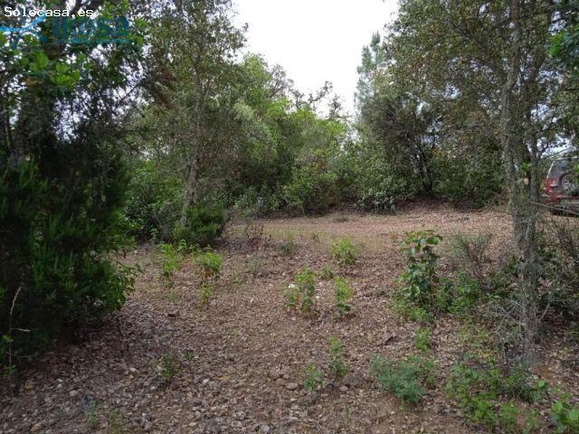 Local Comercial en venta en Sierra de Huelva, Andalucía