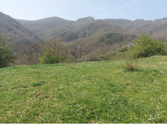 Local Comercial en venta en Pesaguero, Cantabria