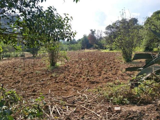 Terreno en venta en Zacatlán, Puebla