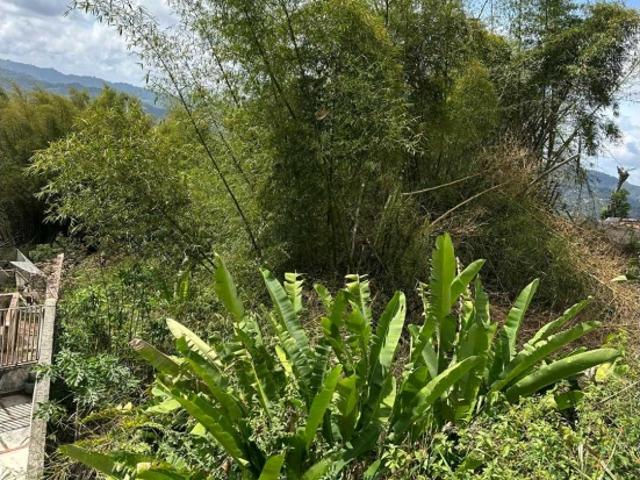 Terreno en venta en Boca De Uchire, Miranda