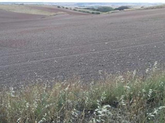 Local Comercial en venta en Tórtola De Henares, Castilla-La Mancha
