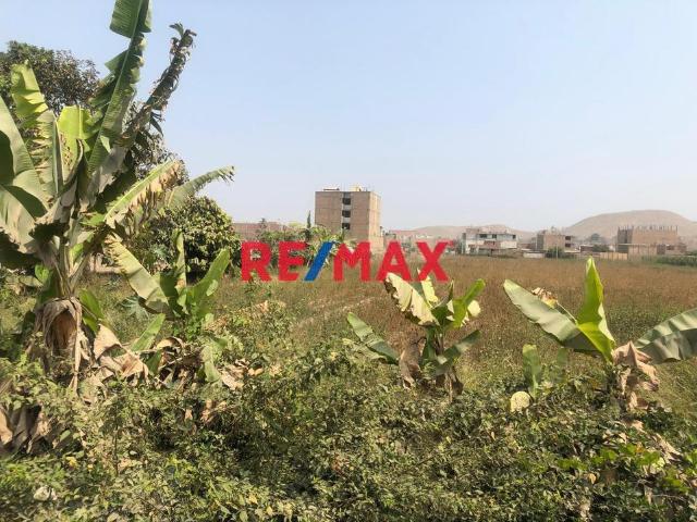 Terreno venta en Chacarilla De Carabayllo, Lima Metropolitana