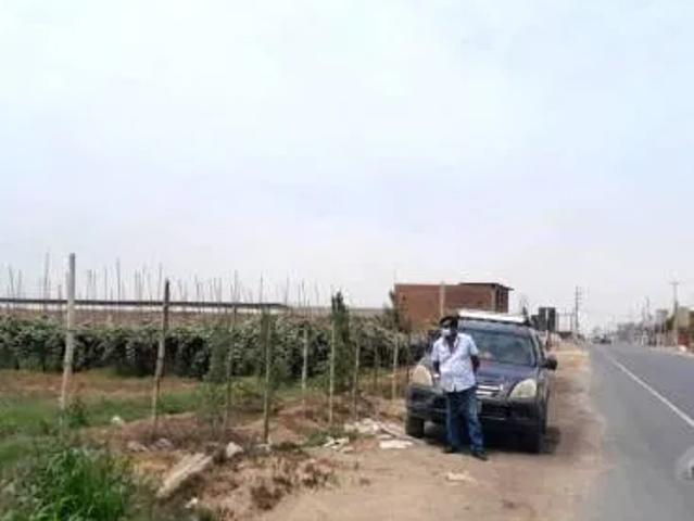 Terreno venta en Chincha Alta, Ica