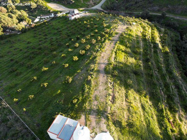 Local Comercial en venta en Campo-Mijas, Costa del Sol Occidental