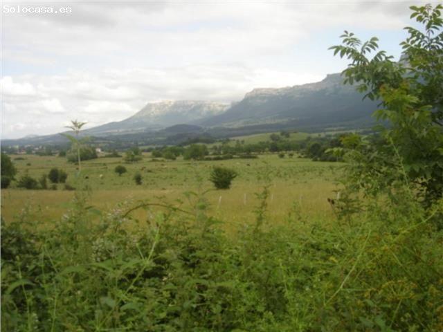 Local Comercial en venta en Valle De Mena, Castilla y León