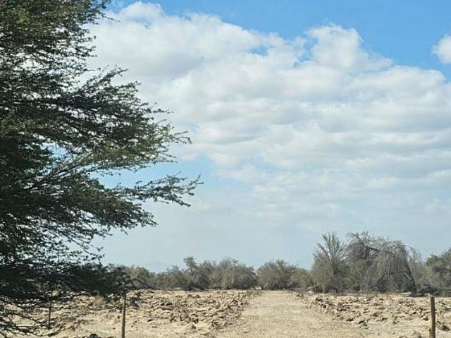Terreno en venta en Pica, Tarapacá
