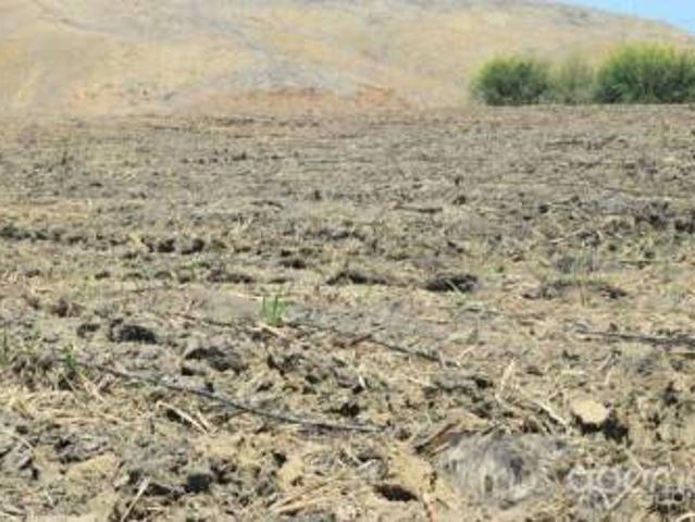 Venta De Terrenos Agrícolas Venta De Terrenos Agrícolas