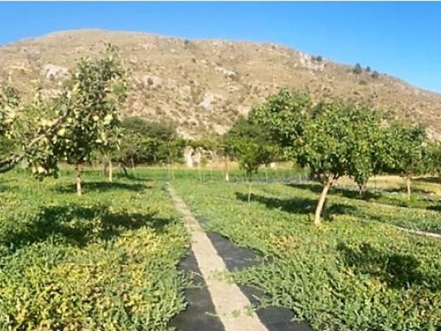 Terreno en venta en Comarca de la Alpujarra Granadina, Andalucía