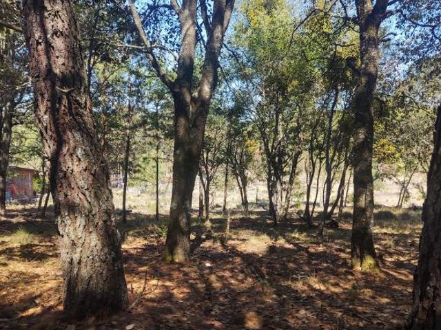 Terreno en venta en Zacatlán, Puebla