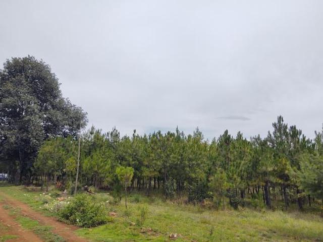 Terreno en venta en Zacatlán, Puebla