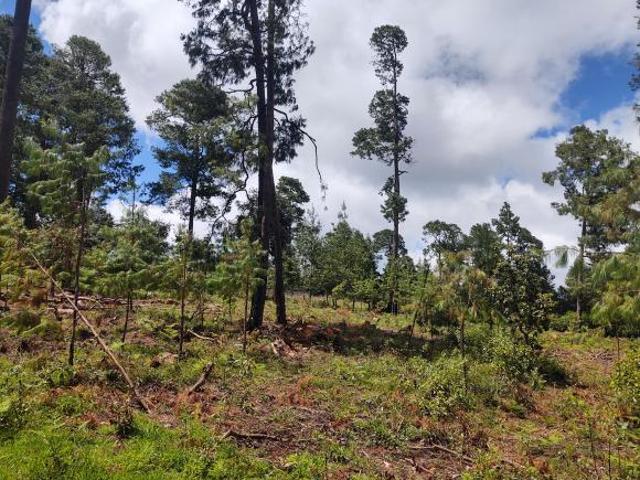 Terreno en venta en Zacatlán, Puebla