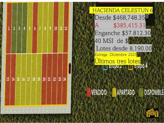 Terreno en venta en Celestún