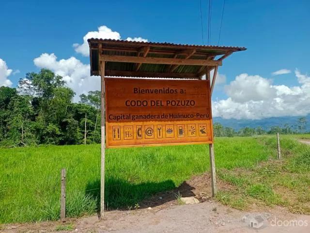 Terreno venta en Puerto Inca, Huánuco