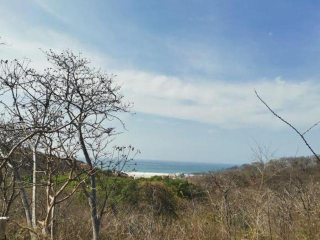 Terreno en venta en San Miguel Del Puerto, Oaxaca