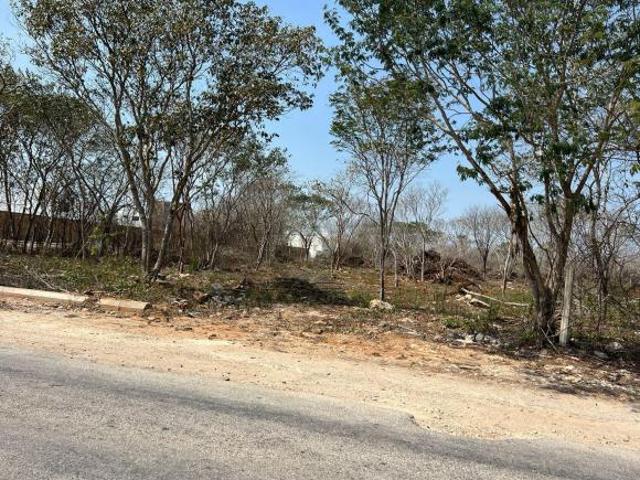 Venta de villa de 1 recamara con terraza en emana, conkal, merida, yucatan