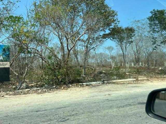 Venta de villa de 1 recamara con terraza en emana, conkal, merida, yucatan