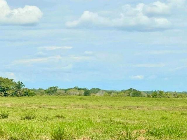 Finca en venta en San Silvestre, Barinas