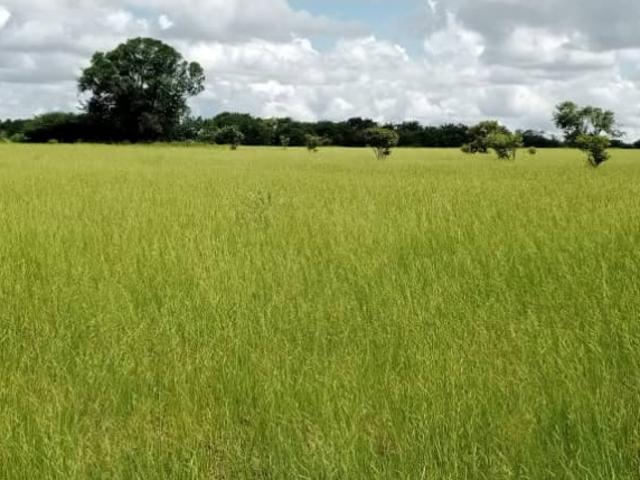 Finca en venta en Bolívar