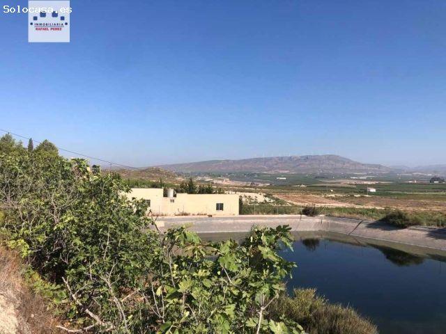 Local Comercial en venta en Hoya del Campo, Vega Alta del Segura