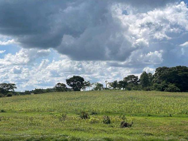 Finca en venta en Municipio Piar, Bolívar