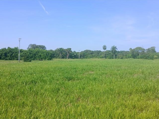 Finca en venta en La Caramuca, Barinas