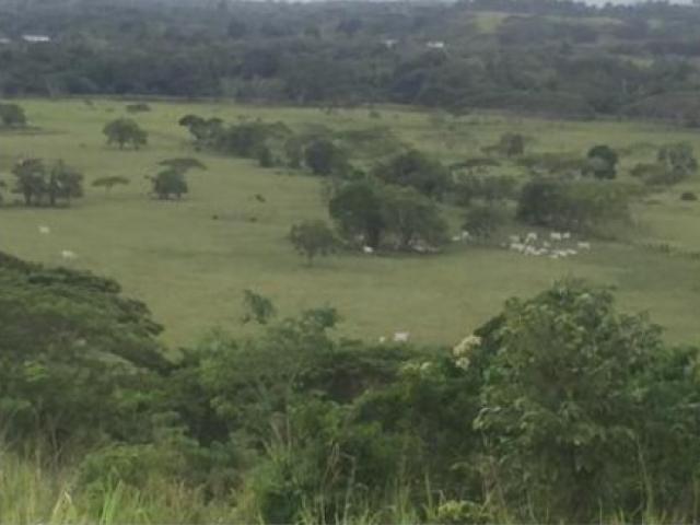 Finca en venta en Cacique Manaure, Falcón