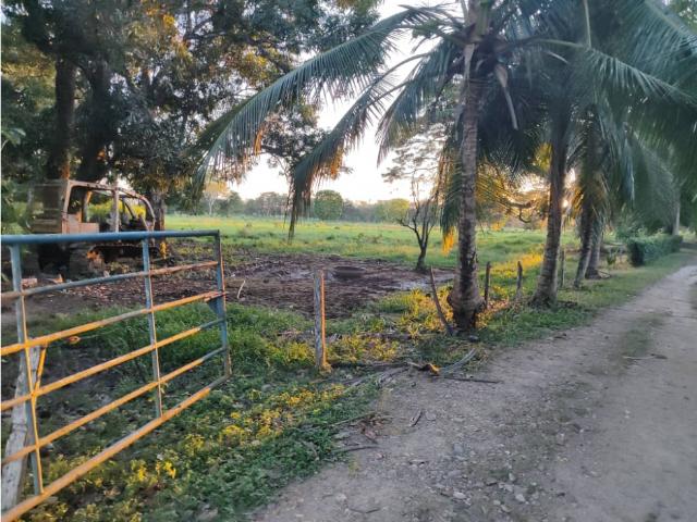 Finca en venta en Apure