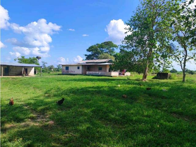 Finca en venta en La Trinidad De Orichuna, Apure