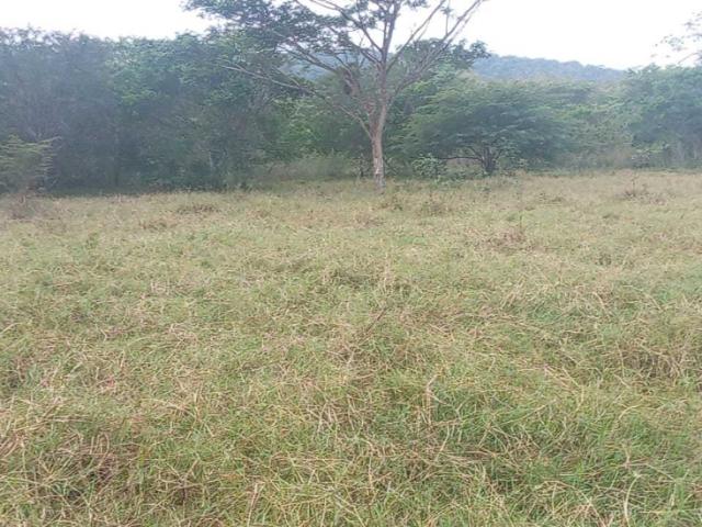 Finca en venta en Falcón