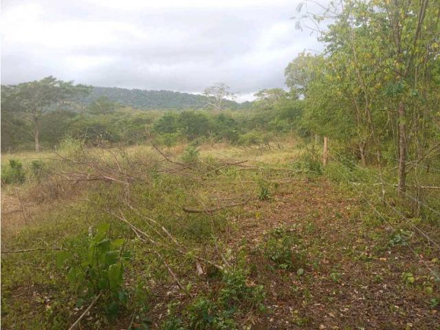 Finca en venta en Falcón