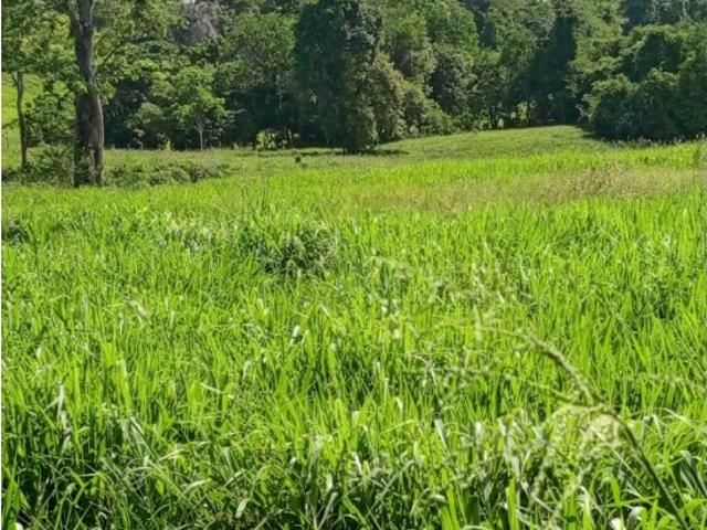Finca en venta en Zamuro, Falcón
