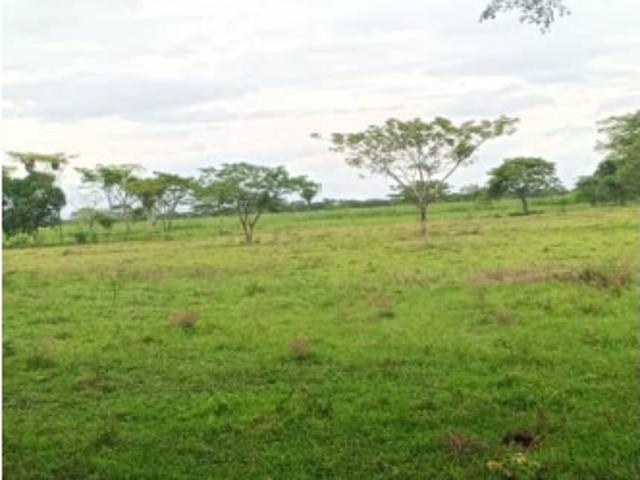 Finca en venta en Barinas
