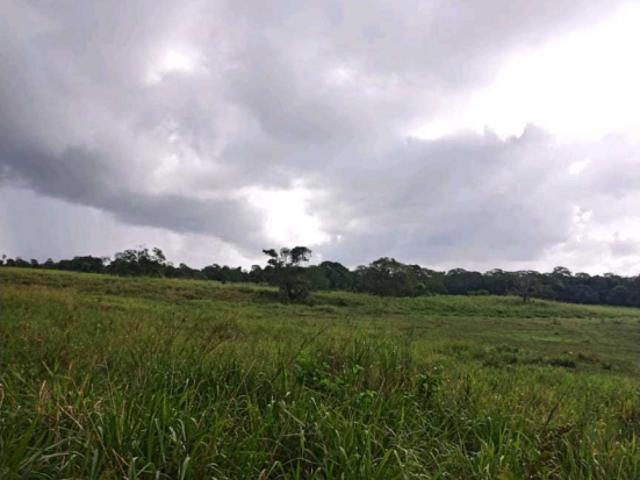 Finca en venta en Zamuro, Falcón