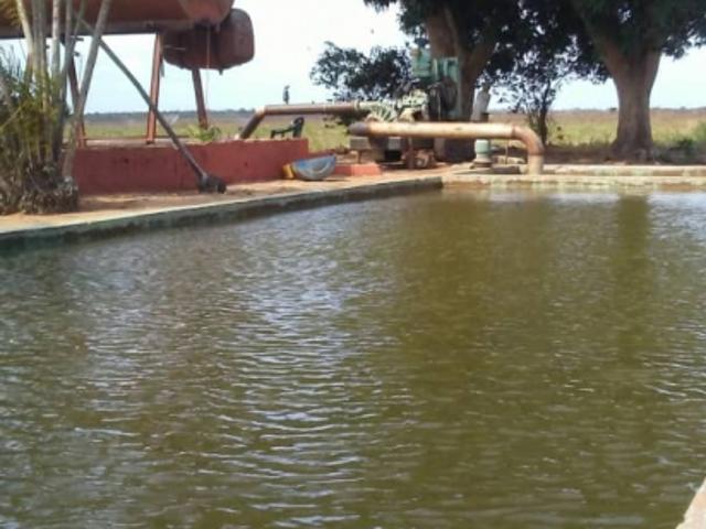 Finca en venta en Amazonas