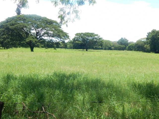 Finca en venta en Sipororo, Portuguesa