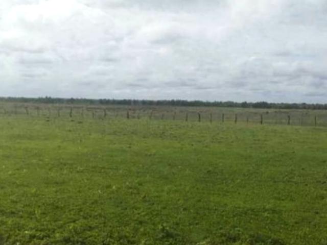 Finca en venta en Pedro María Freites, Amazonas