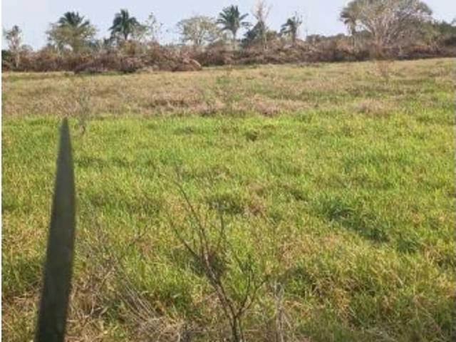 Finca en venta en Cano Del Medio, Barinas