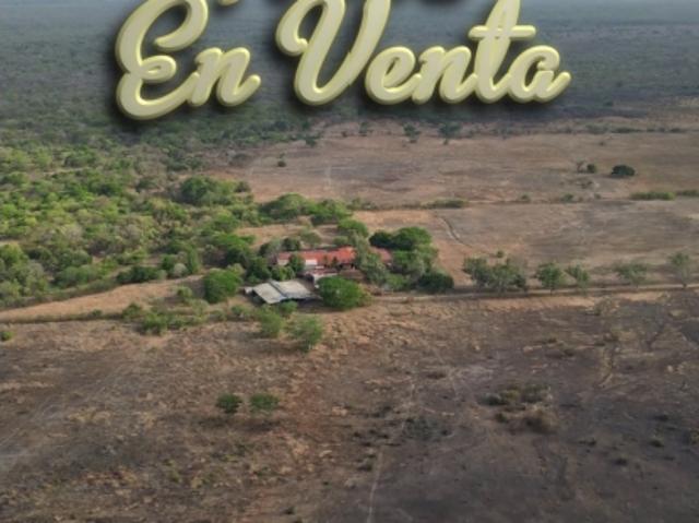 Finca en venta en Calabozo, Guárico