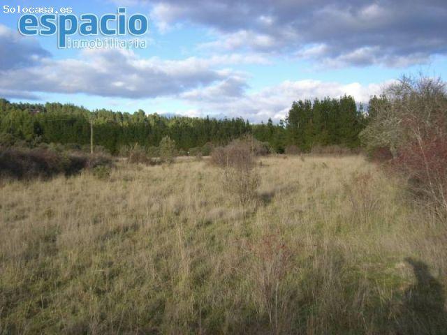 Local Comercial en venta en Valdunu, Las Regueras