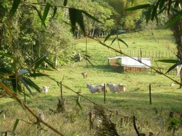Venta: Finca de 525,000 m2 en Cerro Azul