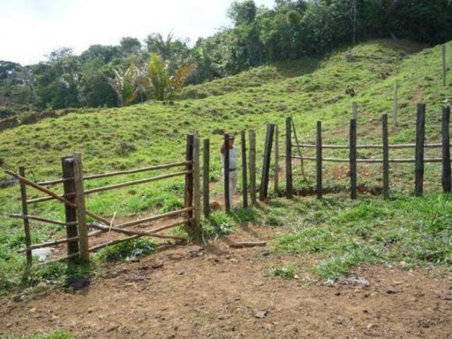 Venta: Finca de 525,000 m2 en Cerro Azul