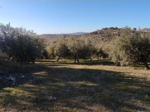 Local Comercial en venta en Comarca de la Vega de Granada, Andalucía