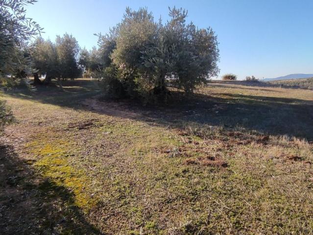 Terreno en venta en Comarca de la Vega de Granada, Andalucía