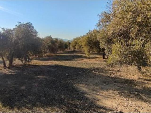 Local Comercial en venta en Cogollos De La Vega Local Comercial en venta en Cogollos De La Vega