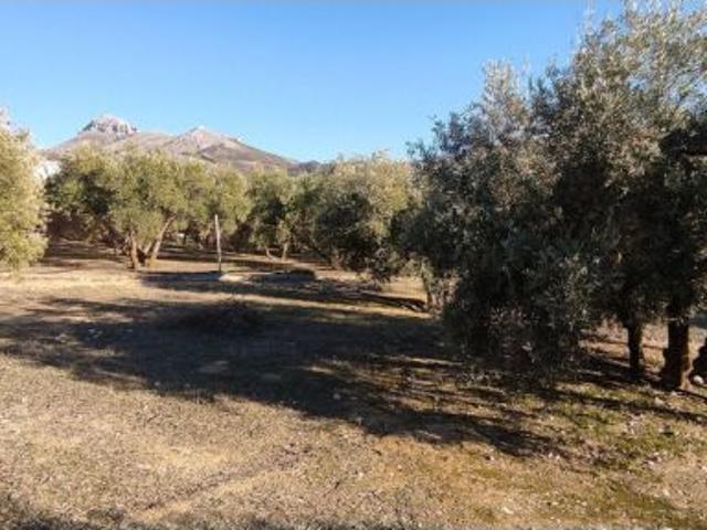 Local Comercial en venta en Comarca de la Vega de Granada, Andalucía