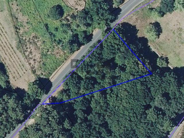 Casa Rural en venta en Coles, Ourense